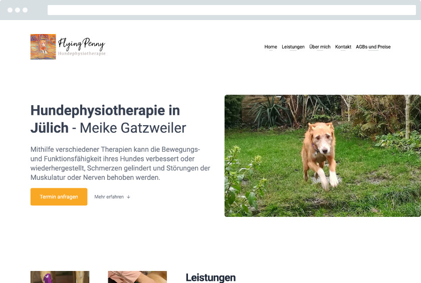 Vorschau der Webseite Hundephysiotherapie Meike Gatzweiler